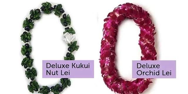 Kahului Airport Lei Greeting - Image 4