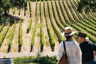 San Francisco Napa and Sonoma Wine Tour thumbnail 1
