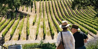San Francisco Napa and Sonoma Wine Tour