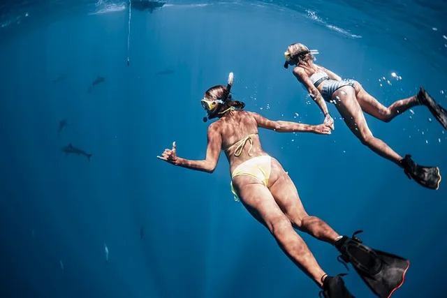 Oahu Shark Diving Experience - Image 1