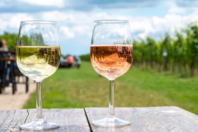 Long Island Private Winery Tour - Image 6