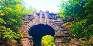 New York City Central Park Walking Tour