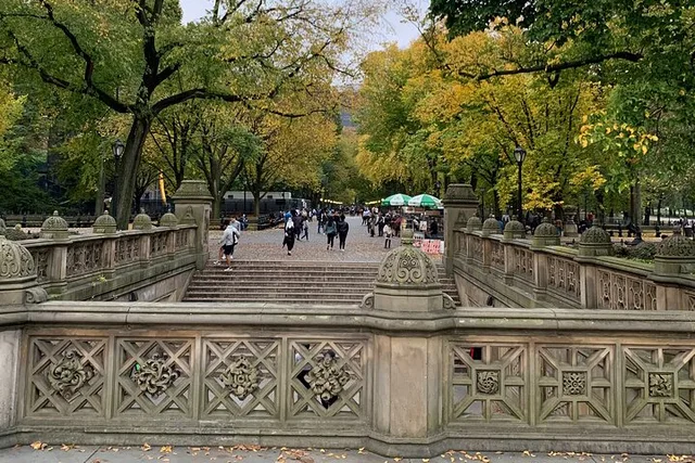 New York City Horse Carriage Ride in Central Park - Image 6