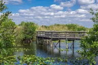 Miami Everglades Private Tour 4 hr thumbnail 4