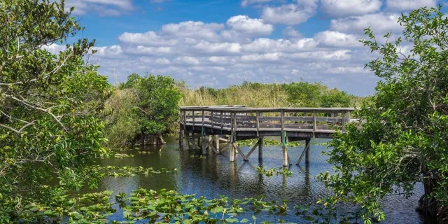 Miami Everglades Private Tour 4 hr - Image 4