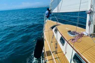 Marina Del Rey Sailing Tour with Gourmet Cuisine thumbnail 2