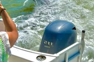 Naples Manatee and Dolphin Sunset Cruise thumbnail 3