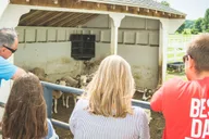 Philadelphia Amish Country Private Driving Tour thumbnail 3