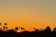Crystal River Sunset Cruise in Kings Bay thumbnail 5