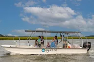 Savannah Dolphin Eco Tour thumbnail 3