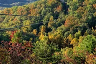 Sevierville 7-Line Zipline Tour thumbnail 6