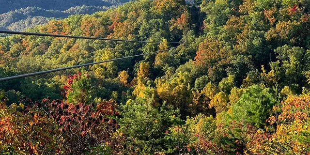 Sevierville 7-Line Zipline Tour - Image 6