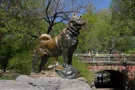 New York Central Park Private Guided Tour 1 hr thumbnail 6