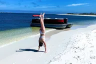 Pensacola Beach Dolphin Cruise with Snorkeling thumbnail 1