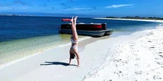 Pensacola Beach Dolphin Cruise with Snorkeling