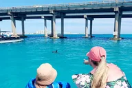 Destin Private Pontoon Tour to Crab Island 4 Hr thumbnail 4