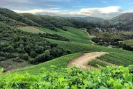 Napa Valley Wine Tour with Local Sommelière thumbnail 6