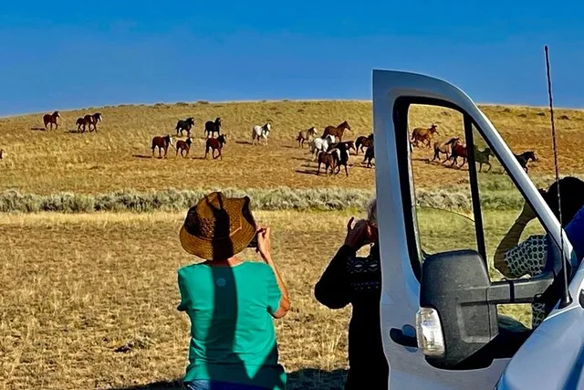 Cody Wild Mustang Van Tour 4 hr - Image 6