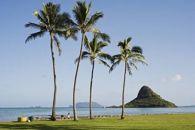 Oahu Circle Island Tour - Image 4