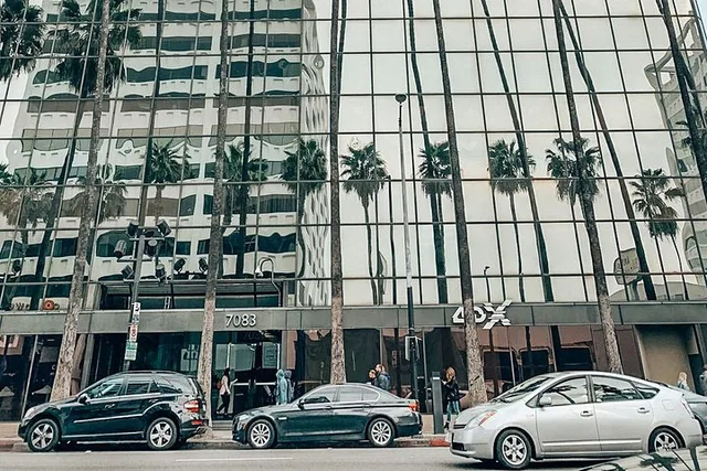 Los Angeles Private Tour: Hollywood and Rodeo Drive - Image 3