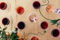 Sonoma Wine Tour in Small Group thumbnail 3