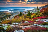 Acadia National Park Private Tour thumbnail 1