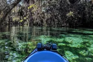 Crystal River Tandem Kayak Rental with Manatees 4 hr thumbnail 3