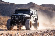 Las Vegas Off-Road Wildlife and Ghost Town Adventure thumbnail 2