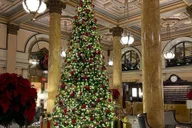 Washington DC Holiday Walking Tour with Hot Cocoa thumbnail 4
