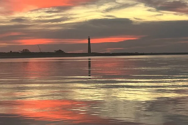 Charleston Dolphin Cruise and Shelling Trip - Image 3