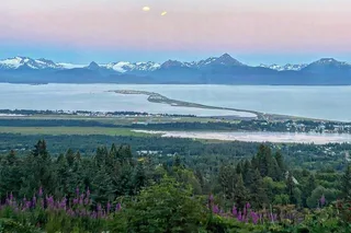 Homer Wilderness, Wildlife and Beach Tour