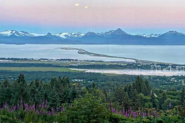 Homer Wilderness, Wildlife and Beach Tour - Image 1