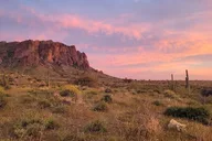 Arizona Desert Night Sky Tour thumbnail 5