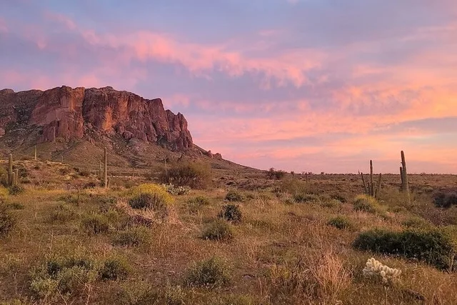 Arizona Desert Night Sky Tour - Image 5