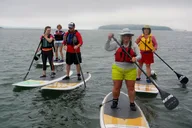 Brunswick Stand-Up Paddleboard Tour with Oyster Tasting thumbnail 1