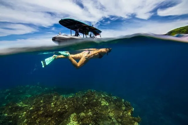 Kona Coast Snorkeling Tour with Lunch 4.5 hr - Image 5