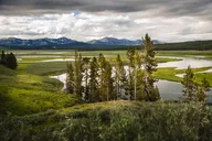 Yellowstone National Park Private Tour thumbnail 4
