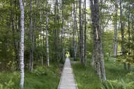 Bar Harbor Private Guided Tour of Acadia National Park thumbnail 4
