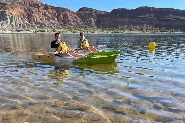 St. George Kayak/SUP Tour with Wildlife Viewing - Image 4