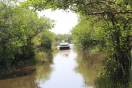 Miami Everglades Tour with Pickup 7.5 hr thumbnail 1
