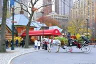 New York City Central Park Horse Carriage Tour thumbnail 3