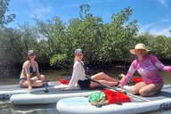 New Smyrna Beach Mangrove Paddle Tour thumbnail 4