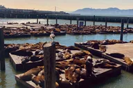 San Francisco Custom Private Tour thumbnail 3