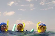 Hilo Snorkeling Tour with Nature Walk thumbnail 5
