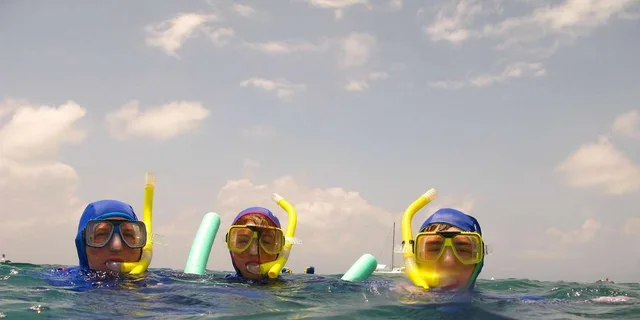 Hilo Snorkeling Tour with Nature Walk - Image 5