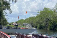 Miami Everglades Tour Half-Day thumbnail 5