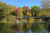 New York City Central Park Walking Tour thumbnail 5