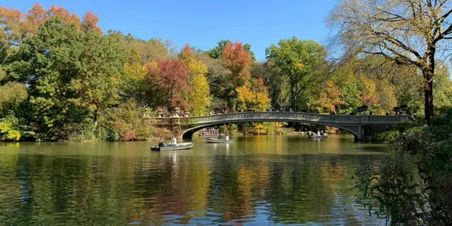 New York City Central Park Walking Tour - Image 5