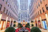 New York City Home Alone 2 Movie Locations Pedicab Tour thumbnail 4