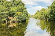 New Orleans Manchac Bayou Swamp Cruise thumbnail 5